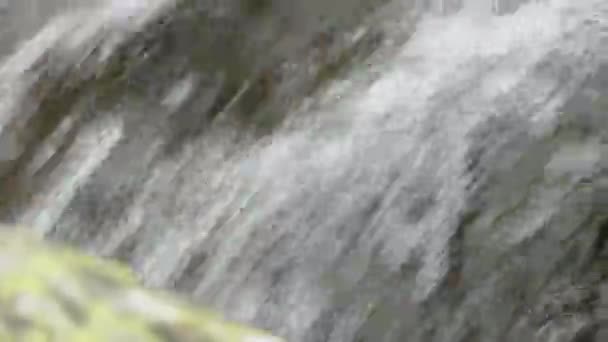Чистая Естественная Вода Горном Ручье — стоковое видео