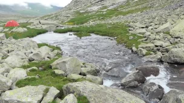 山溪中清洁的天然水 — 图库视频影像