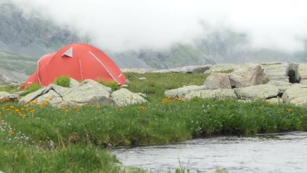 Чиста Природна Вода Гірському Потоці Серед Квітів Поруч Туристичним Наметом — стокове відео