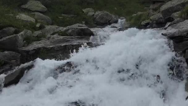 Czysta Naturalna Woda Górskim Strumieniu Wśród Kamieni — Wideo stockowe