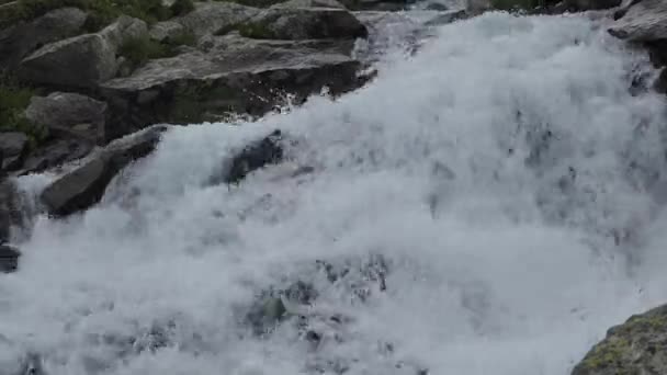Água Limpa Natural Riacho Montanha Entre Pedras — Vídeo de Stock