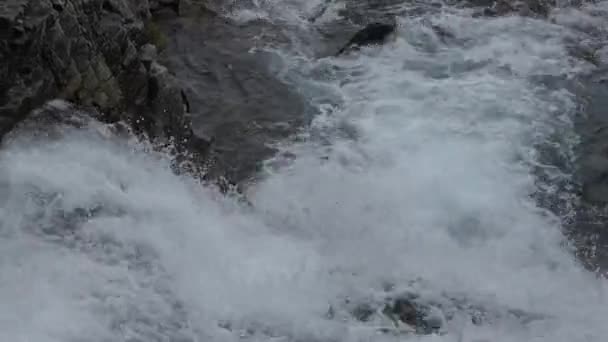 石头之间的山间小溪中干净的天然水 — 图库视频影像