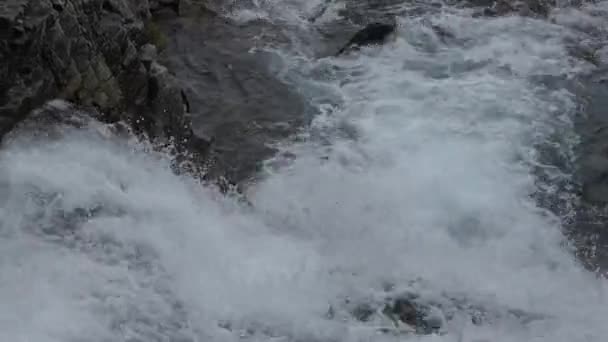 Schoon Natuurlijk Water Een Bergstroom Tussen Stenen — Stockvideo