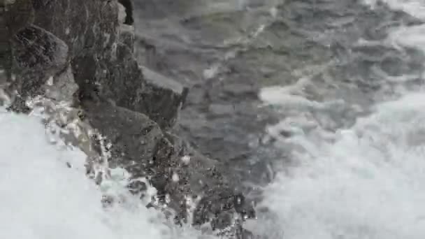 Eau Propre Naturelle Dans Ruisseau Montagne Parmi Les Pierres — Video