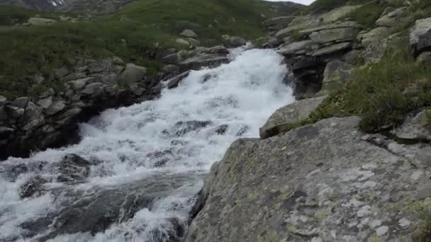 Sauberes Natürliches Wasser Einem Gebirgsbach Zwischen Den Steinen — Stockvideo