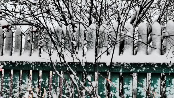 Háttérvideó Havazik Tél Van Hóesés Egy Fából Készült Kerítésen Kivonat — Stock videók