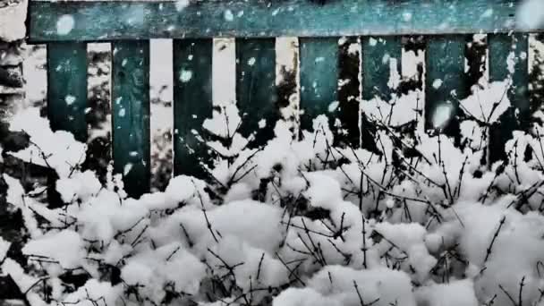 Zimą Filmik Śnieg Zima Śnieg Pada Drewniany Płot Streszczenie — Wideo stockowe