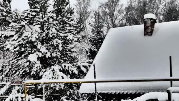 Inverno Nevicata Contro Tetto Coperto Neve Una Piccola Casa Abete — Video Stock
