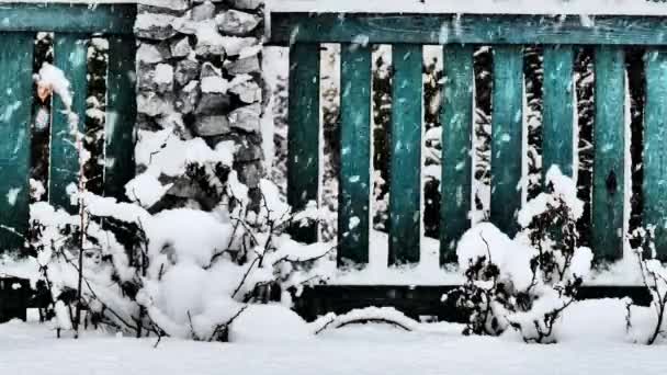 Chute Neige Hiver Vidéo Fond Neige Tombe Sur Une Clôture — Video