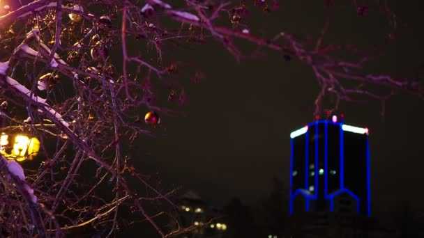 圣诞节 街灯背景上装饰着树木和一座高楼 夜城Novosibirsk 西伯利亚 — 图库视频影像