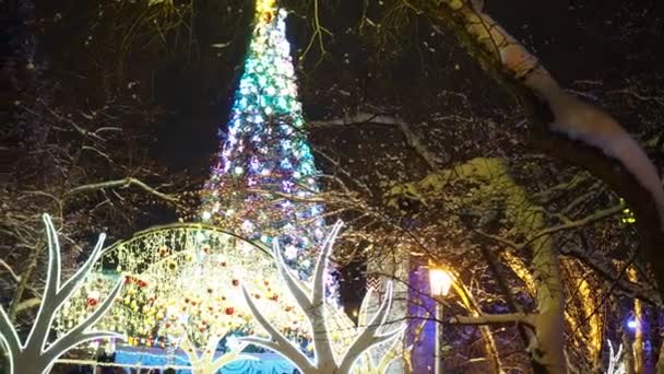 Cidade Noturna Decorado Com Iluminação Colorida Cidade Árvore Natal Novosibirsk — Vídeo de Stock