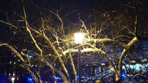 Cidade Noturna Cidade Inverno Rua Iluminada Cidade Noturna Inverno Cidade — Vídeo de Stock