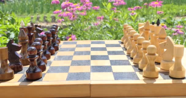 チェスだ 風に揺れる花と庭のチェス盤の上に立つチェスの駒 — ストック動画