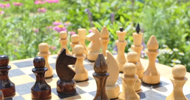 Schack Schackpjäser Står Ett Schackbräde Trädgården Med Blommor Som Svajar — Stockvideo