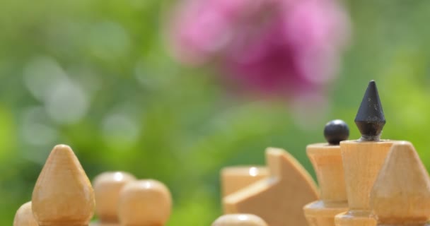 Satranç Satranç Taşları Rüzgarda Sallanan Çiçeklerle Bahçedeki Satranç Tahtasının Üzerinde — Stok video