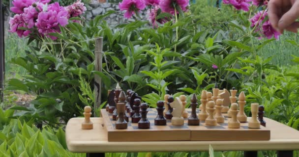 チェスだ 男の手は夏の庭に立つチェス盤の上に花や蝶を背景にチェスの駒を動かす 閉じろ — ストック動画