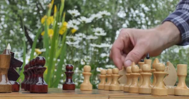 国际象棋 一个男人的手在夏园的棋盘上移动着棋子 棋盘上的花朵背景 靠近点 — 图库视频影像