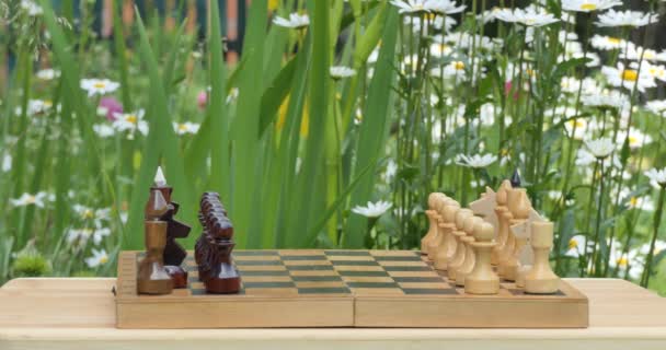 Schach Schachfiguren Stehen Auf Einem Schachbrett Garten Blumen Wiegen Sich — Stockvideo