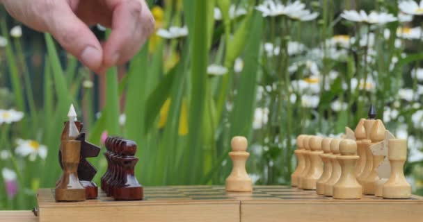 Jeu Échecs Main Homme Met Morceau Échecs Sur Échiquier Qui — Video