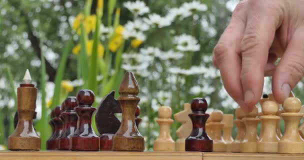 国际象棋 一个男人的手在夏园的棋盘上移动着棋子 棋盘上的花朵背景 靠近点 — 图库视频影像