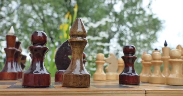 Jeu Échecs Main Homme Met Morceau Échecs Sur Échiquier Qui — Video