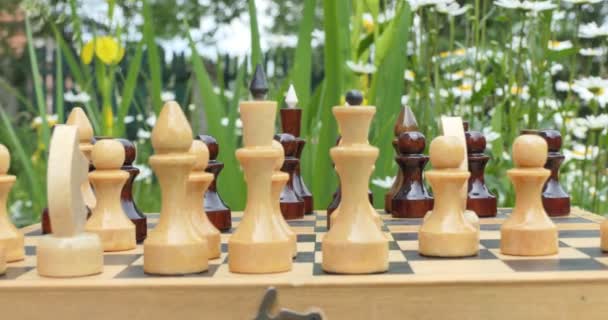 Schach Schachfiguren Stehen Auf Einem Schachbrett Garten Blumen Wiegen Sich — Stockvideo