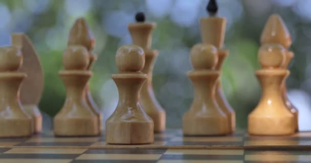 チェスの試合だ 男の手は庭に立つチェス盤にチェスの駒を置く — ストック動画