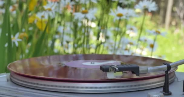 Vinyl Květiny Vlnící Větru Odrážejí Rotujícím Vinylovém Albu Detailní Záběr — Stock video