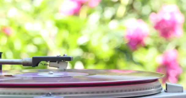 Giradischi Vinile Testa Del Pickup Viene Abbassata Disco Vinile Che — Video Stock