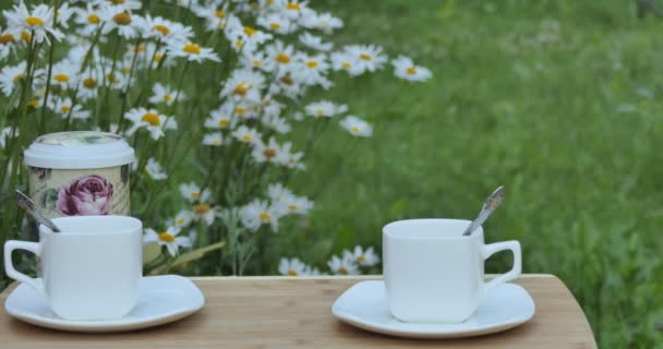 Thé Vegan Couple Tasses Vides Tiennent Sur Une Table Dans — Video