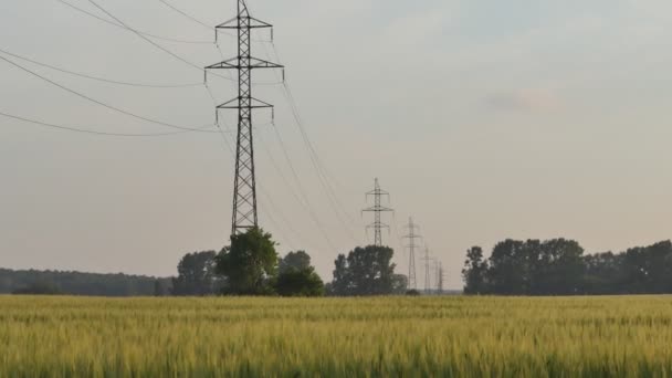 電気網電気網 高圧送電線は小麦畑や高速道路を通っている ズーム — ストック動画