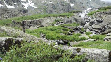 Doğadaki maceralar. Turistler eriyen bir buzulun oluşturduğu şelaleye hayran. Sibirya, Altai.