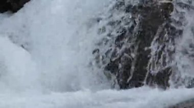 Doğal, temiz su. Bitkilerin yetiştiği taşların arasından temiz su akan bir dağ deresi. Sibirya, Altai.