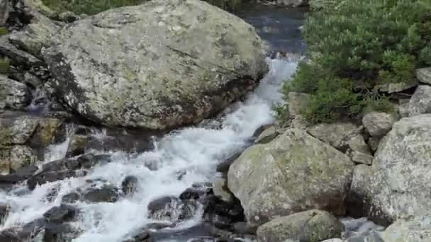 Естественная Чистая Вода Горный Поток Чистой Водой Протекает Между Камнями — стоковое видео