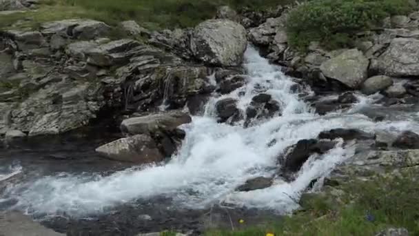 Естественная Чистая Вода Горный Поток Чистой Водой Протекает Между Камнями — стоковое видео