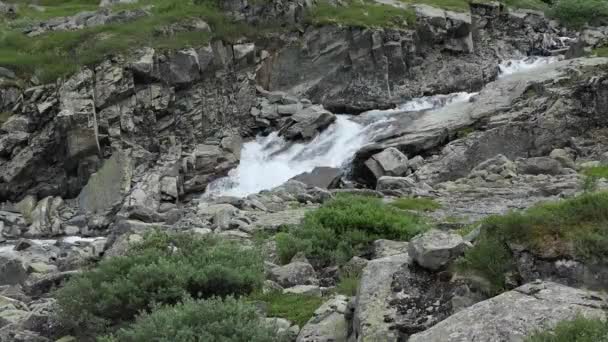 Natürliches Sauberes Wasser Zwischen Den Steinen Denen Pflanzen Wachsen Fließt — Stockvideo