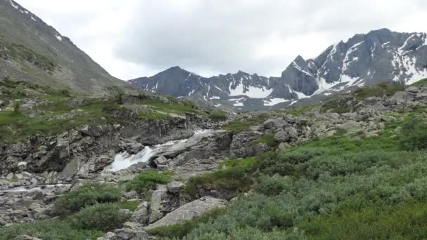 天然清洁的水一条清澈的山溪流过生长着植物的石子之间 西伯利亚 阿尔泰 — 图库视频影像