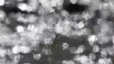 Güneş ışığı lekesi. Güneş ışınları akan dereden yansıyor. Odaklanamıyorum.