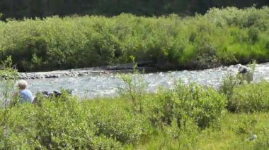 Doğal, temiz su. Çiçek ve bitkilerin yetiştiği taşların arasından temiz su akan bir dağ deresi. Sibirya, Altai. Akchan Nehri.
