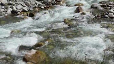 Ekoloji. - Su. Buzulun erimesiyle oluşan saf doğal su güneş ışığındaki taşların arasında şeffaf bir nehirde akar. Akchan Nehri. Sibirya, Altai.