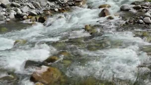 Ökologie Wasser Reines Natürliches Wasser Das Durch Das Schmelzen Des — Stockvideo