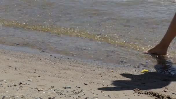 那个女人 海滩在阳光明媚的日子里 女人的脚在沙滩上走过浅水 靠近点 — 图库视频影像