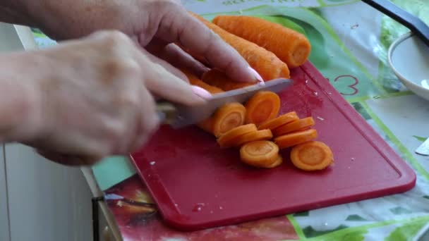 Vegan Απλό Φαγητό Λαχανικά Μάγειρας Κόβει Καρότα Κύκλους Ένα Μαχαίρι — Αρχείο Βίντεο