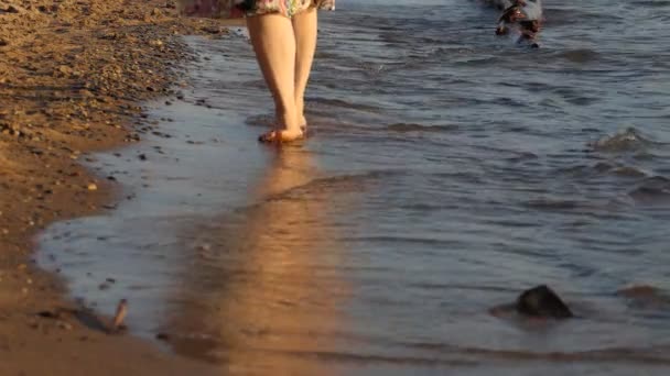 Ноги Девушки Пляже Время Сёрфинга Медленное Движение Закрыть — стоковое видео