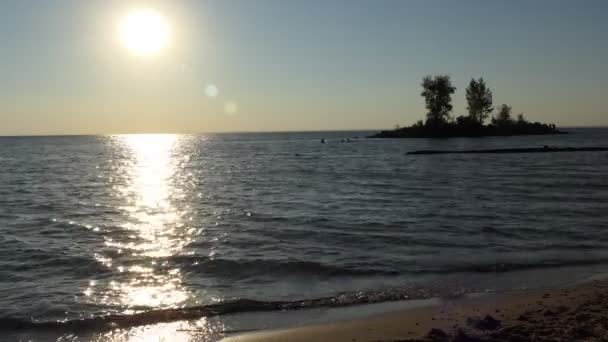 Natation Côte Les Enfants Nagent Nagent Sur Une Bille Près — Video