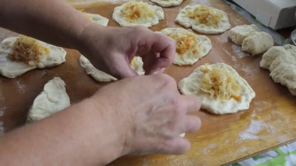 Vegetarianism Enkel Mat Asiatiskt Kök Kvinna Förbereder Kålpajer Deg Skärbräda — Stockvideo