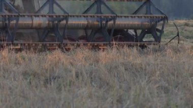 Buğday hasadı. Hasat makinası tarlada buğday mahsulünü topluyor..