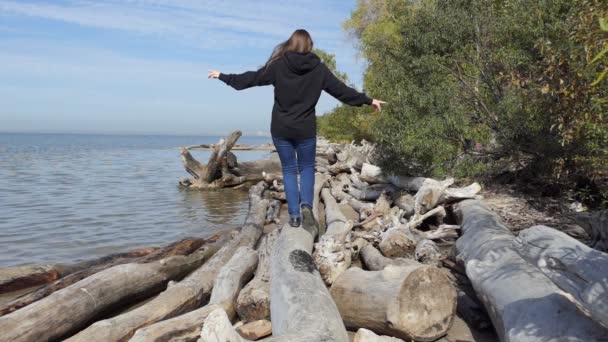 Środowisko Jesień Młoda Kobieta Spaceruje Wzdłuż Brzegu Rzeki Pokryta Pniami — Wideo stockowe