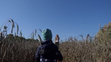 Anne ve çocuk. Küçük bir çocuk buğday tarlasından annesine doğru yürüyor..