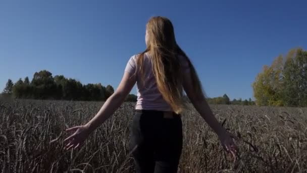一个年轻的女人在麦田里走着 用手触摸着耳朵 慢动作特写射击 — 图库视频影像